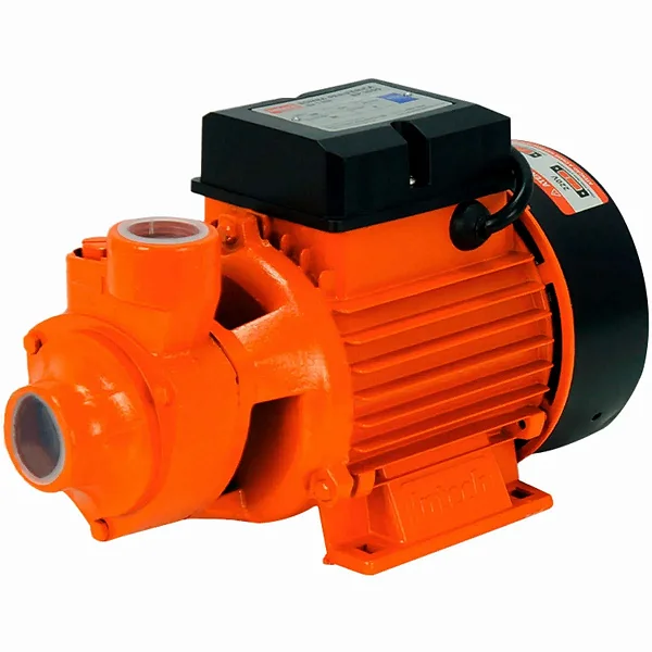BOMBA PERIFÉRICA INTECH MACHINE 1,0 CV BP1000 BIVOLT