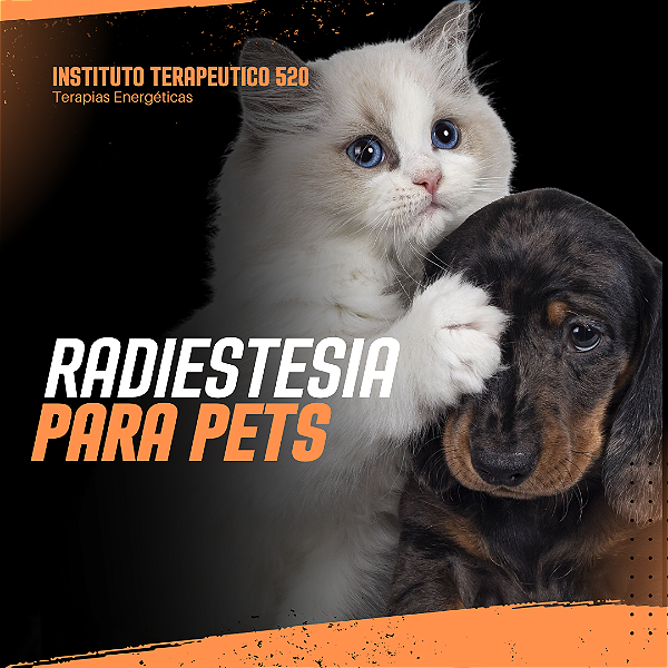Tratamento Energético Para Pets