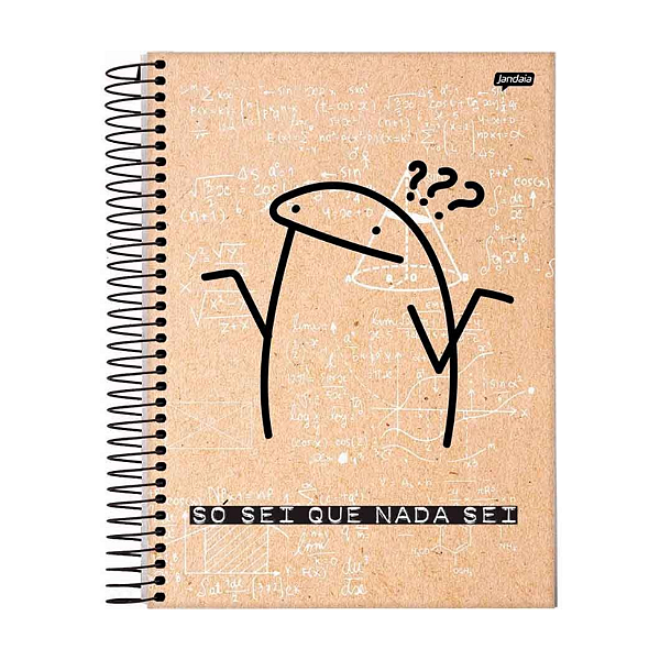 CADERNO 10 MATERIAS FLORK JANDAIA 160FLS