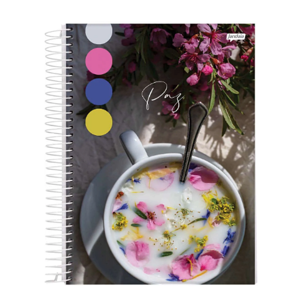 CADERNO 12 MATERIAS JANDAIA PAZ 192 FOLHAS