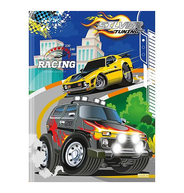 CADERNO DE BROCHURA SAO DOMINGOS SILVER TUNING 80FLS