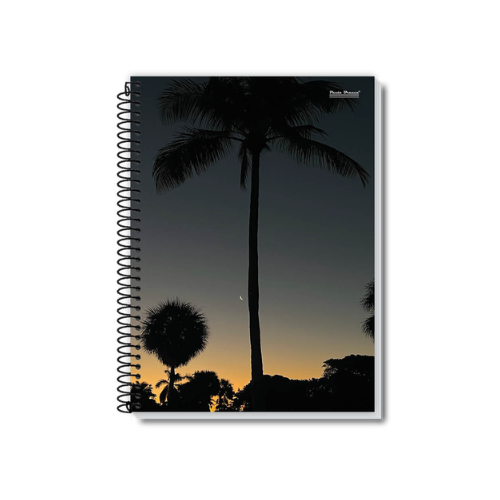 CADERNO 1 MATERIA PAUTA BRANCA NATUREZA - NEW 96 FOLHAS