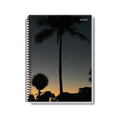 CADERNO 15 MATERIAS PAUTA BRANCA NEW - NATUREZA 300 FOLHAS