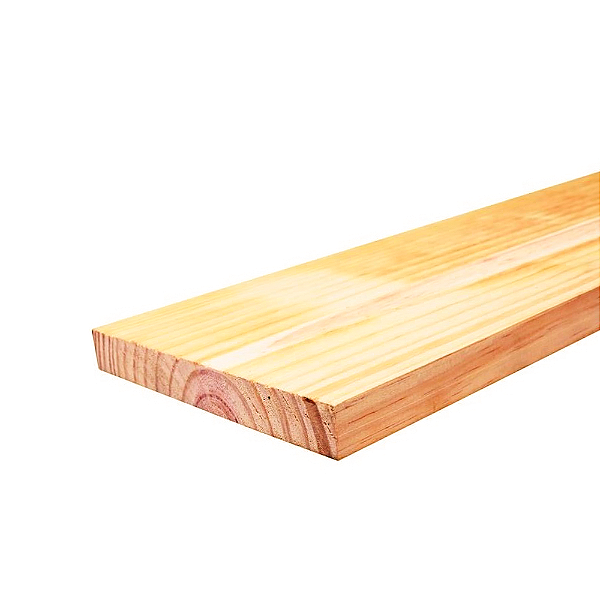 Tábua de Pinus