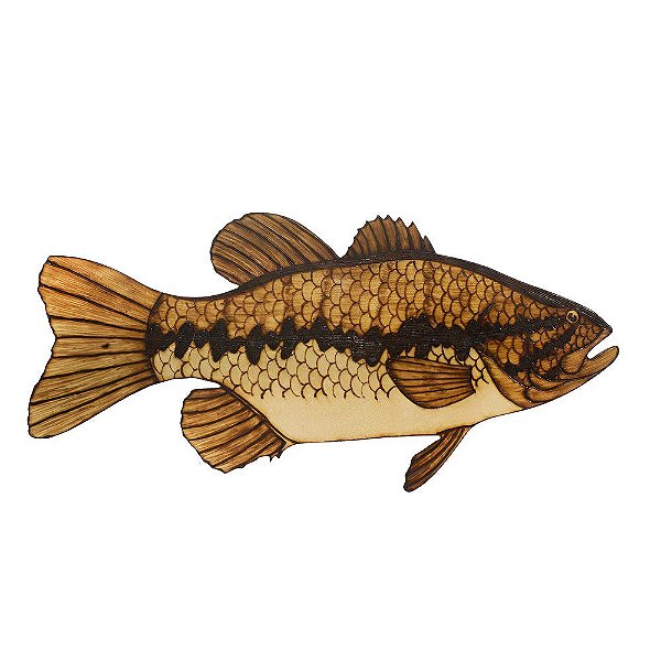 Peixe Decorativo Black Bass - Dfish