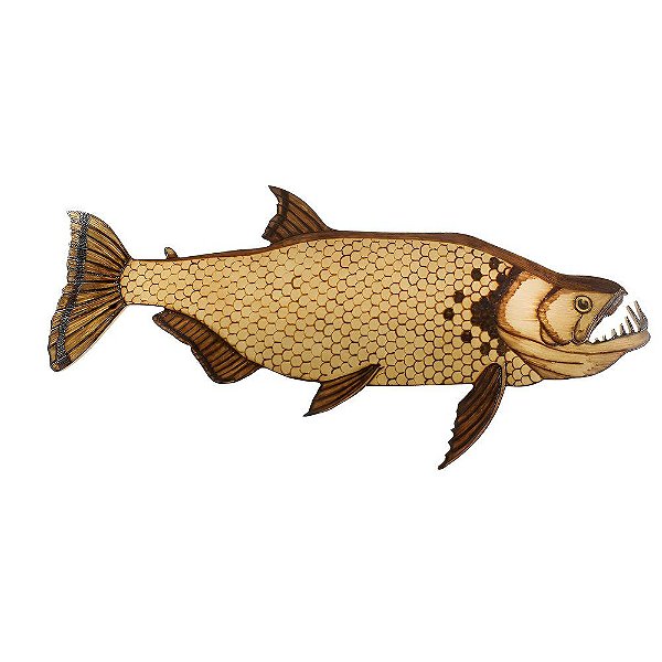 Peixe Decorativo Cachorra - Dfish