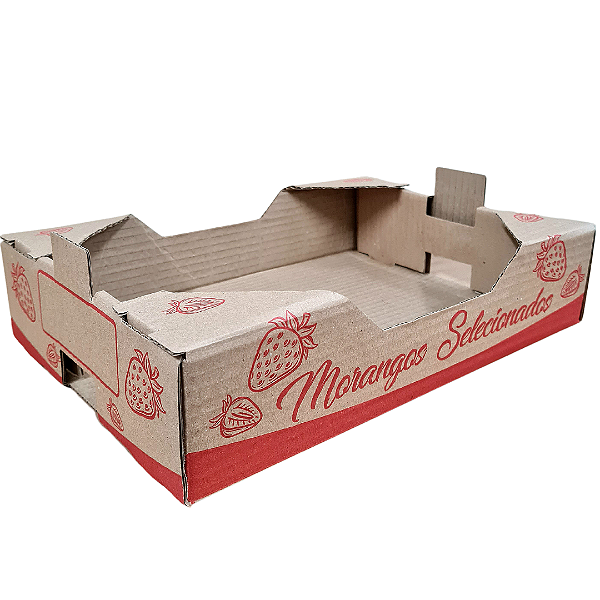 Caixa para transporte de morango  -25 unidades