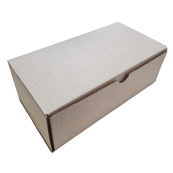 Caixa Para E-commerce 24x14x10 - Kit 10 Unidades