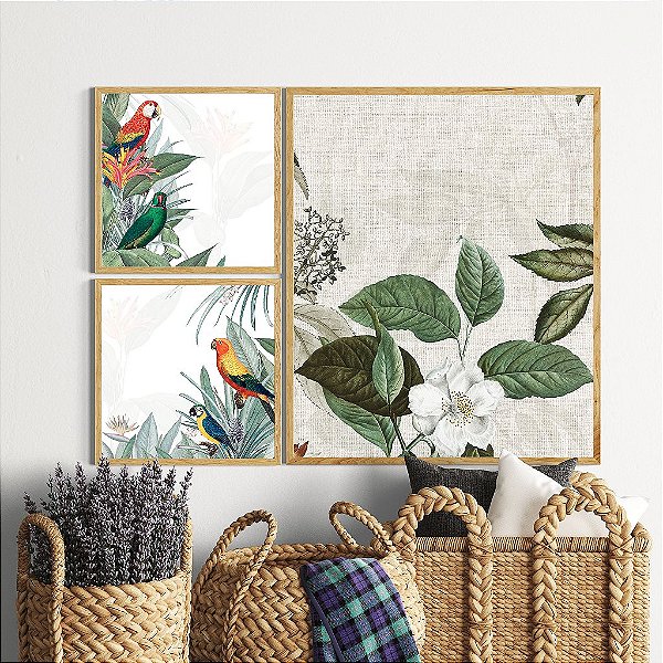 Kit 3 Quadros Decorativos Com Moldura Tropical Araras