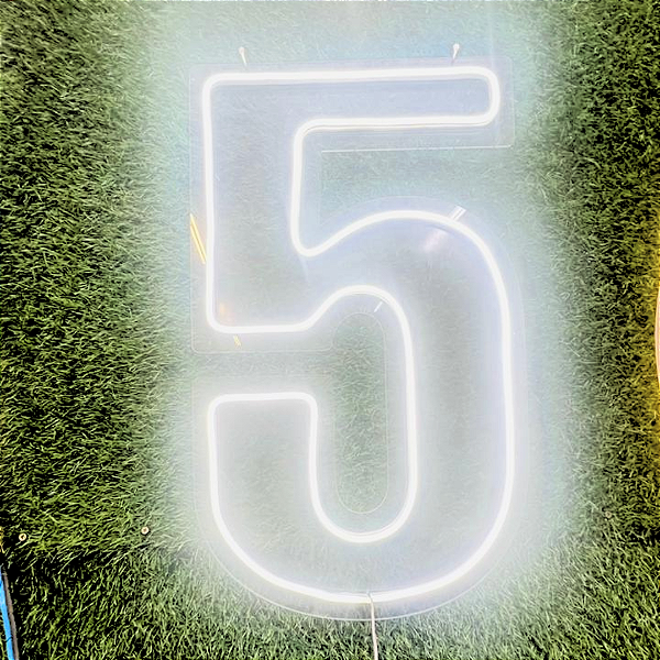 Números em Led Branco Frio 60 centímetros