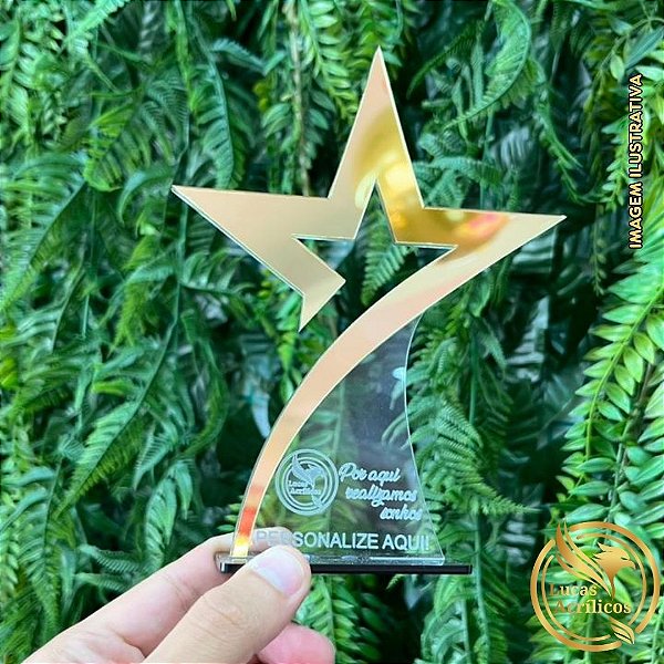 TROFÉU PERSONALIZADO EM ACRÍLICO COM BASE 18X13 CM