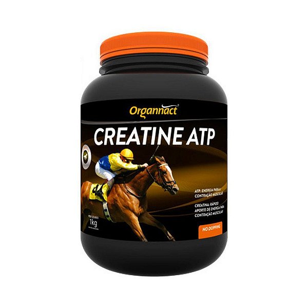 Creatine ATP 1 kg - Organnact