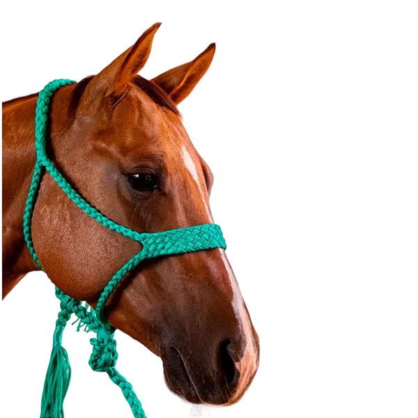 Cabresto Com Cabo Trançado de Paracord Verde Água - Boots Horse