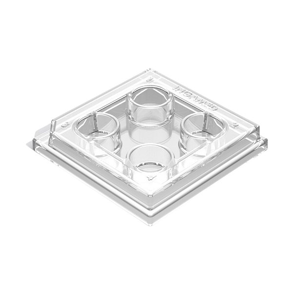 Placa De Petri Com 4 Poços 60 mm X 60 mm Unitário - Ingámed