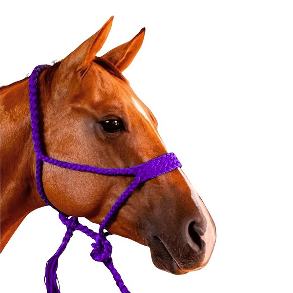 Cabresto Com Cabo Trançado de Paracord Roxo - Boots Horse