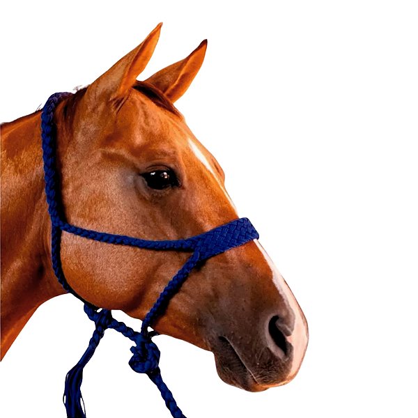 Cabresto Com Cabo Trançado de Paracord Azul Marinho - Boots Horse