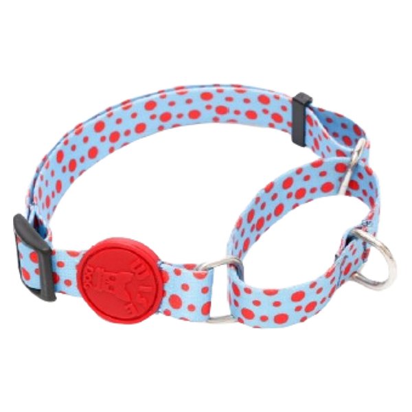 Coleira Anti Puxão Tamanho G Azul Com Bolinhas - Wise Dog