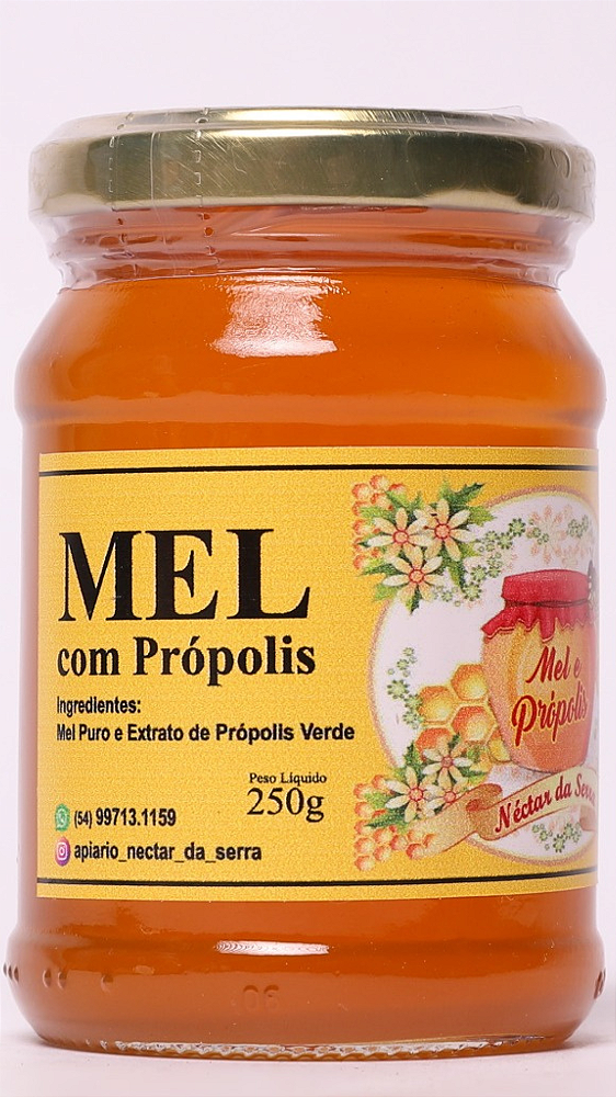 Mel com Própolis verde Néctar da Serra pote 250g