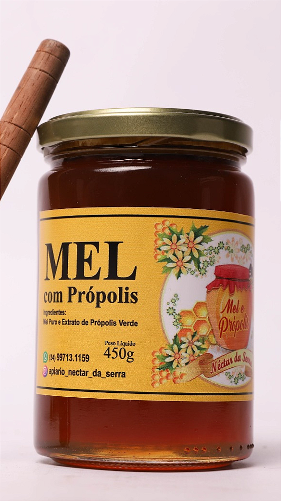 Mel com Própolis verde Néctar da Serra pote 450g
