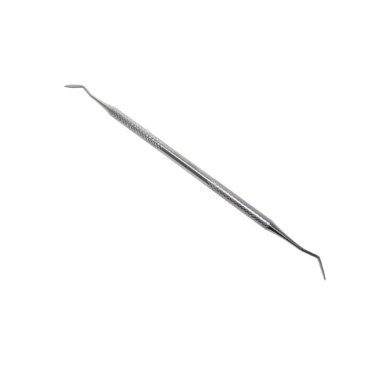 Esculpidor hollemback  3  - ICE