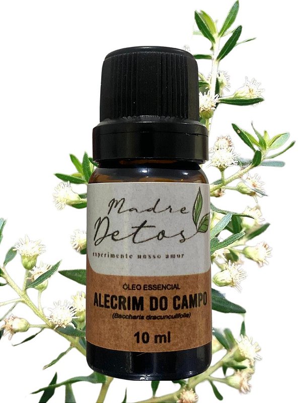Óleo Essencial Alecrim do Campo Orgânico 10ml