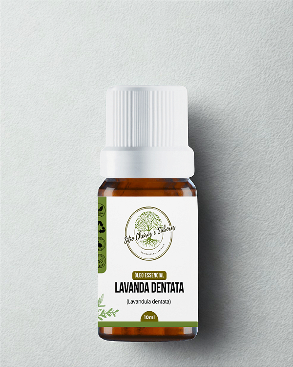 Óleo Essencial Lavanda Dentata Orgânico 10ml