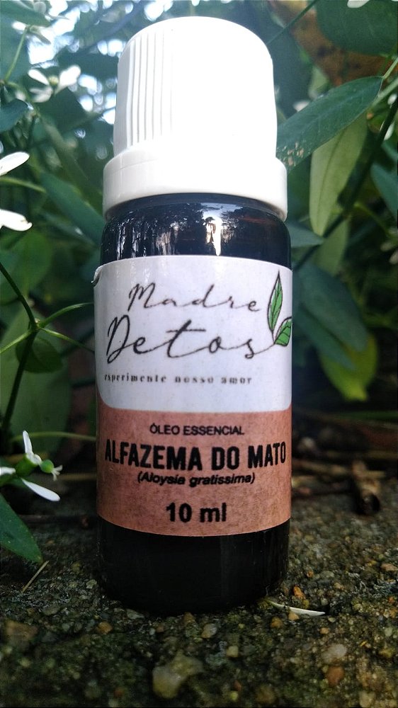 Óleo Essencial Alfazema do Mato (Aloysia gratissima) Orgânico 10ml