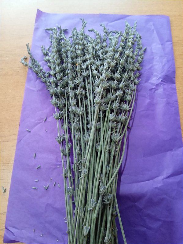 Buquê Lavanda Francesa desidratada maço 50 flores