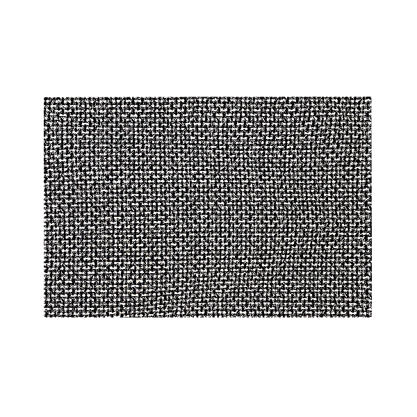 Tapete Para Sala E Quarto Grande Antiderrapante Luxo (Preto e Branco)