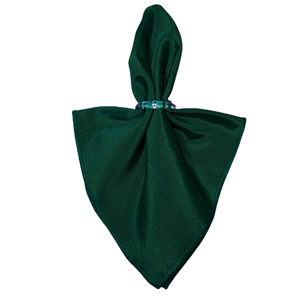 Guardanapos em Tecido Liso 40 x 40 para Mesa Posta Verde