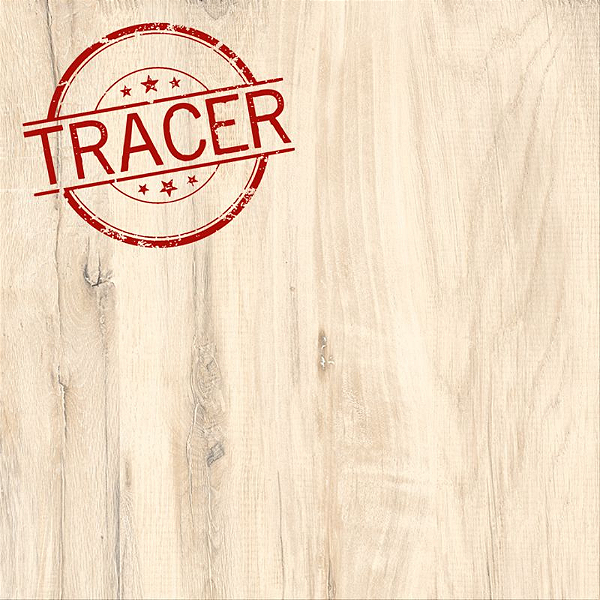 Porcelanato Ecotech Marfim AC 61X61 CX2,23MT2 - Cerâmica Almeida