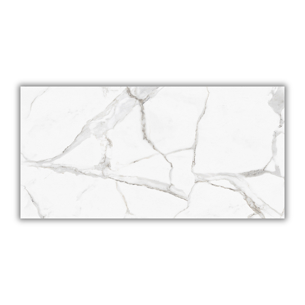 Porcelanato Calacata PR12002 POL 61X1,20 CX2,20MT2 - Damme