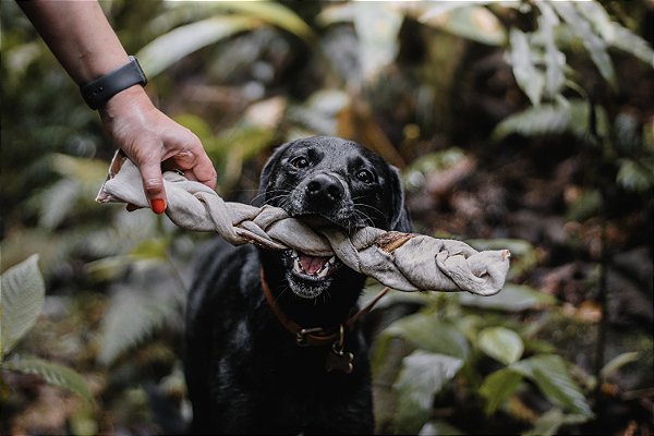 Trança bovina G - Natuka
