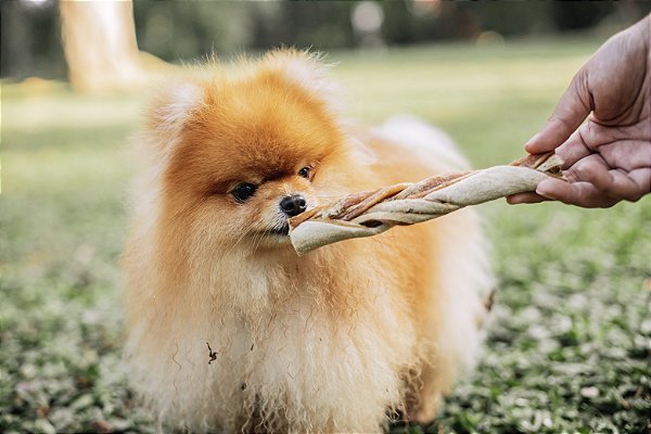 Trança bovina P - Natuka