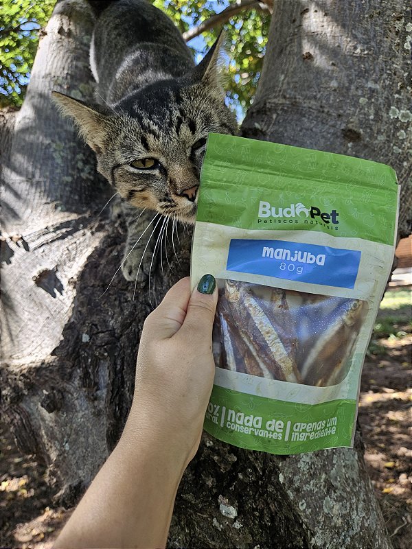 Manjuba (80g) - Budopet