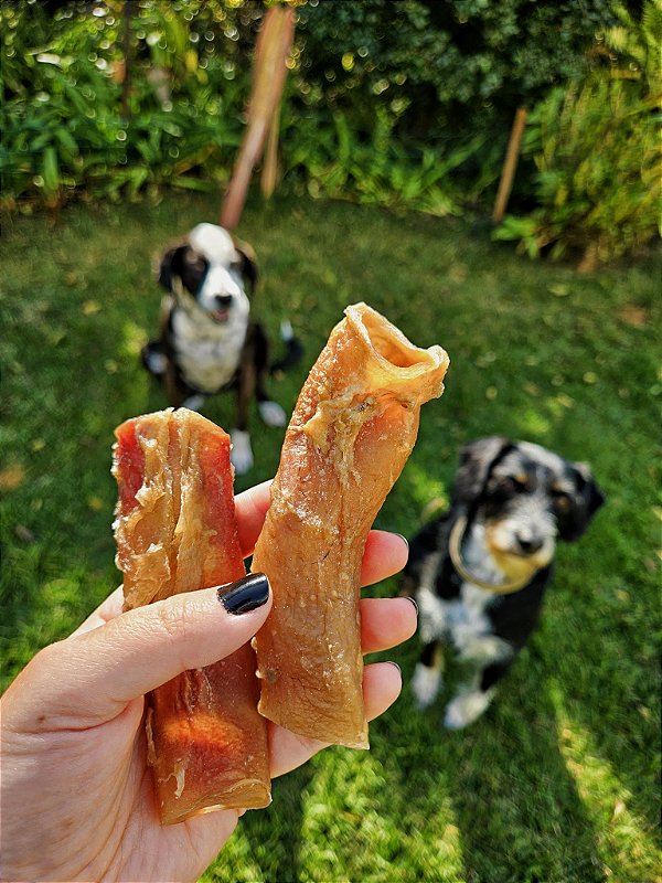 Aorta bovina (90g) - Budopet