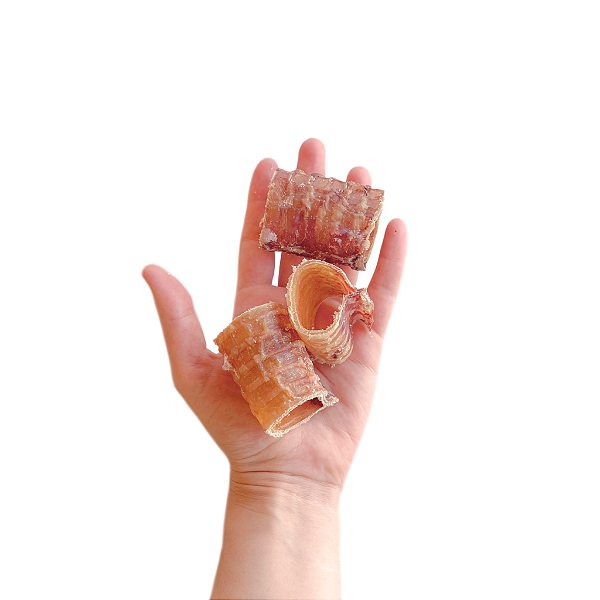 Mini Traqueia Bovina (200g) - LUV