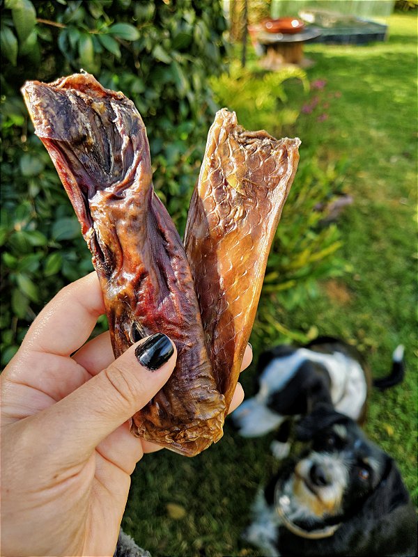 Tubinho bovino (5 un.) - Budopet