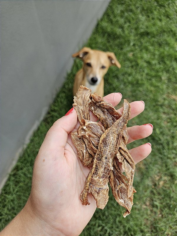 Petisco de pato (120g) - Lecker