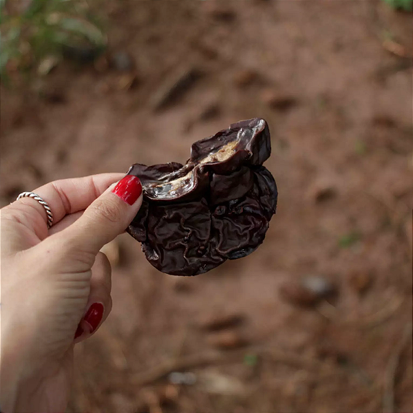 Rim bovino (160g) - Lecker