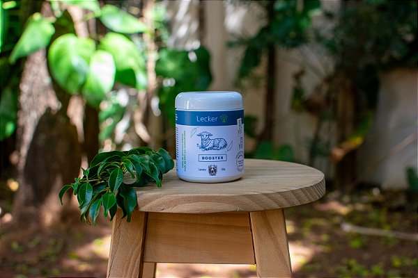 Booster ovino (130g) - Lecker