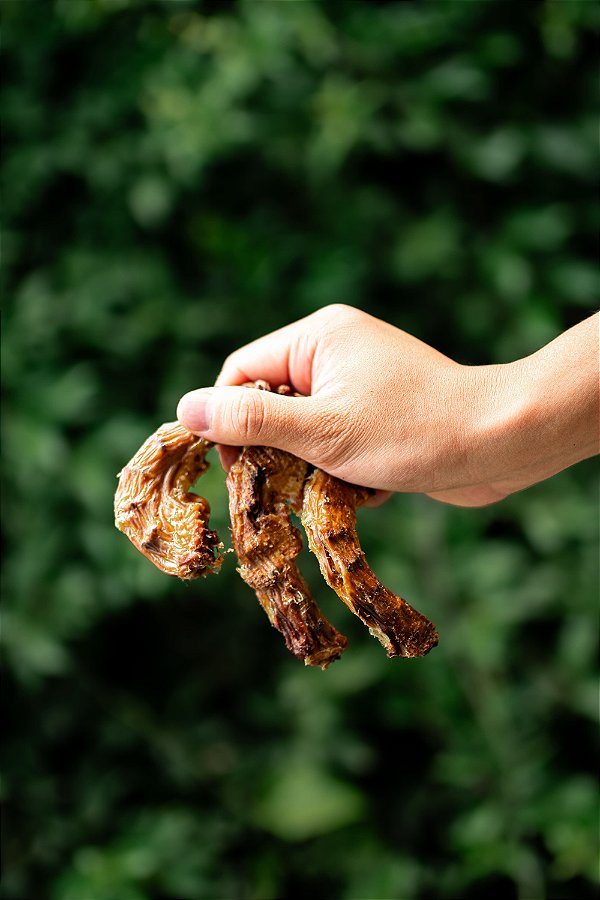 Pescoço de galinha (150g) - Raw Raw