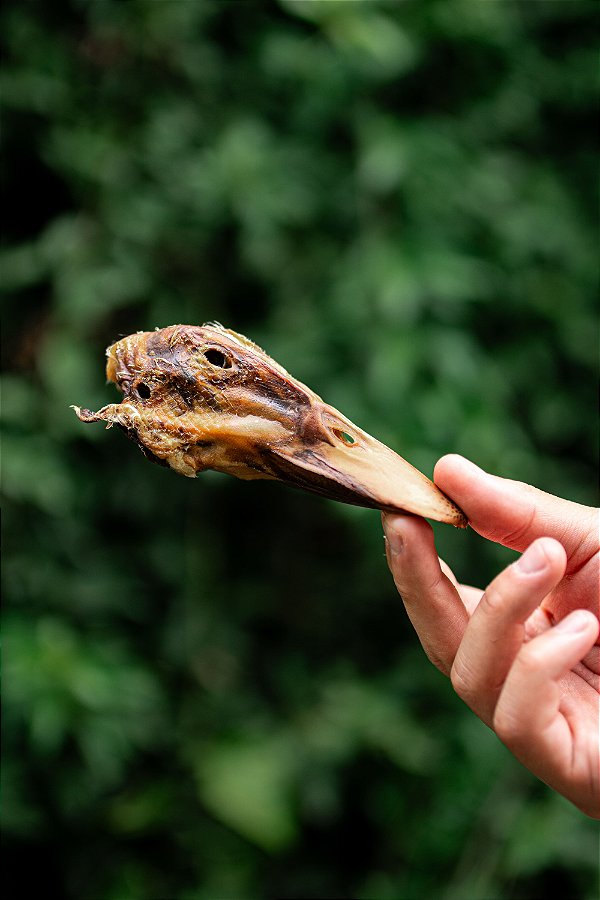 Cabeça de pato (6 un.) - Raw Raw
