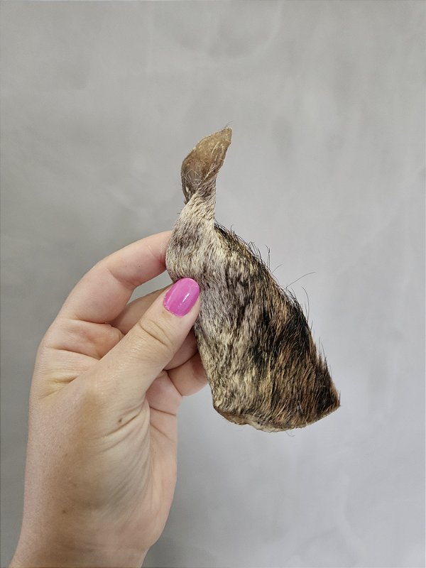 Pepitas Gibão (150g) - Paparico