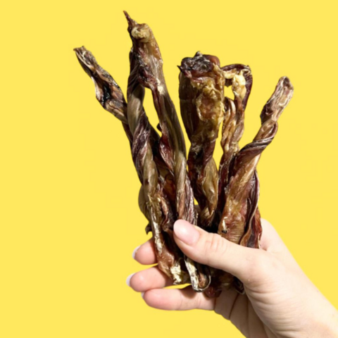 Vergalho Stick Suíno (100g) - Paparico