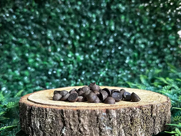 Drops de salmão (100g) - Lecker