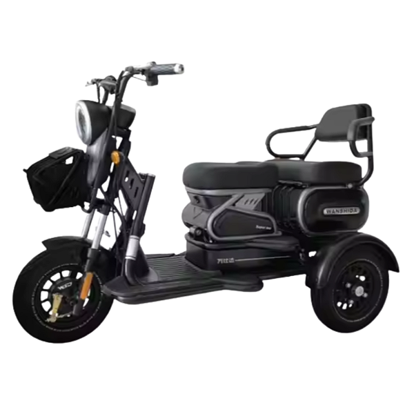 Triciclo eletrico WSD U1 2025 1000W Bateria Lítio 60V 35Ah