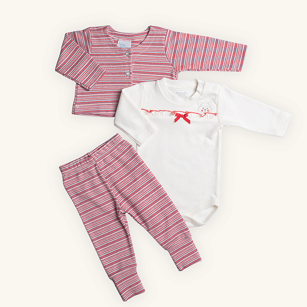 Conjunto 3 Peças Bebê Menina Raposinha Bordada Suedine Premium