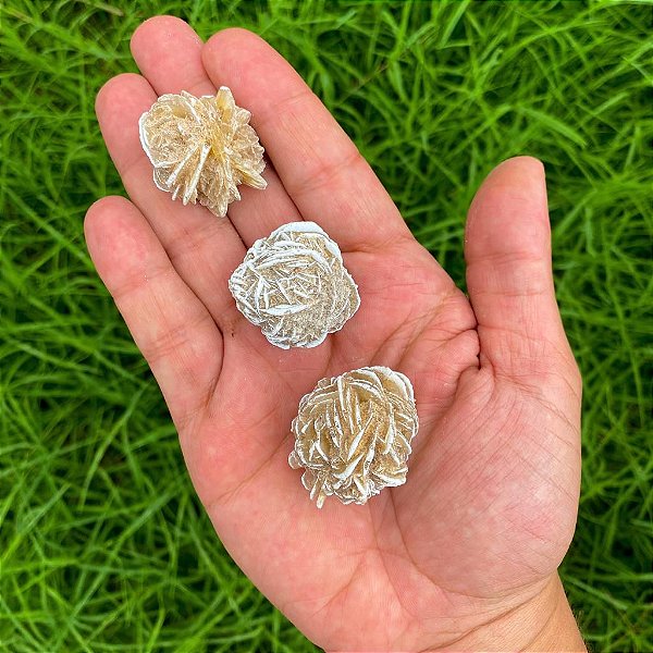 Rosa do deserto M - Clareza, intuição e calma