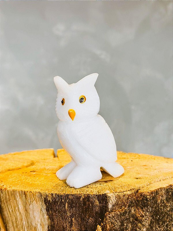 Imagem Coruja 10cm - Quartzo Branco